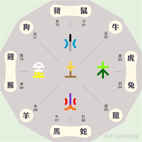 五行属火的动物|动物五行属什么 (十二生肖五行对照表图)